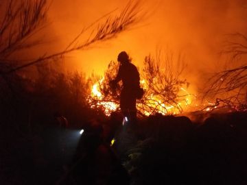 La UME en el incendio forestal de Monterrei