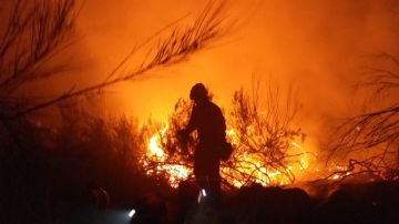 Continúa descontrolado el incendio de grandes dimensiones que afecta a Navarra, Guipúzcoa y Francia 