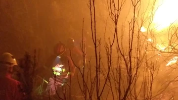 Incendio forestal de Monterrei, Ourense