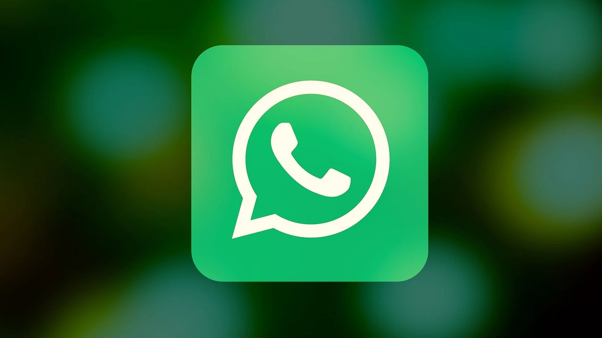 APP Whatsapp 