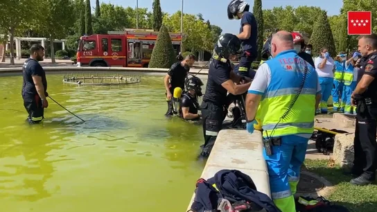 Captura del vídeo facilitado por los servicios de emergencias. Captura del vídeo facilitado por los servicios de emergencias.