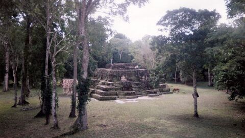 Tikal