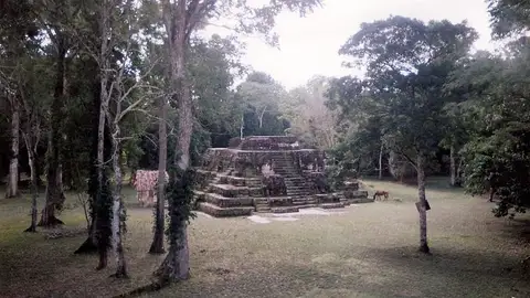 Tikal Tikal