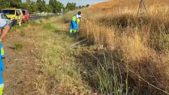 Captura de las imágenes facilitadas por Emergencias de la Comunidad de Madrid. Captura de las imágenes facilitadas por Emergencias de la Comunidad de Madrid.