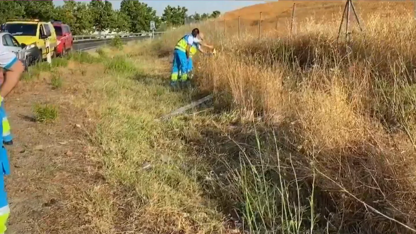 Captura de las imágenes facilitadas por Emergencias de la Comunidad de Madrid. Captura de las imágenes facilitadas por Emergencias de la Comunidad de Madrid.