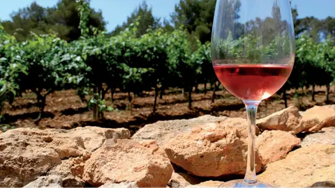 Vinos de Formentera Vinos de Formentera