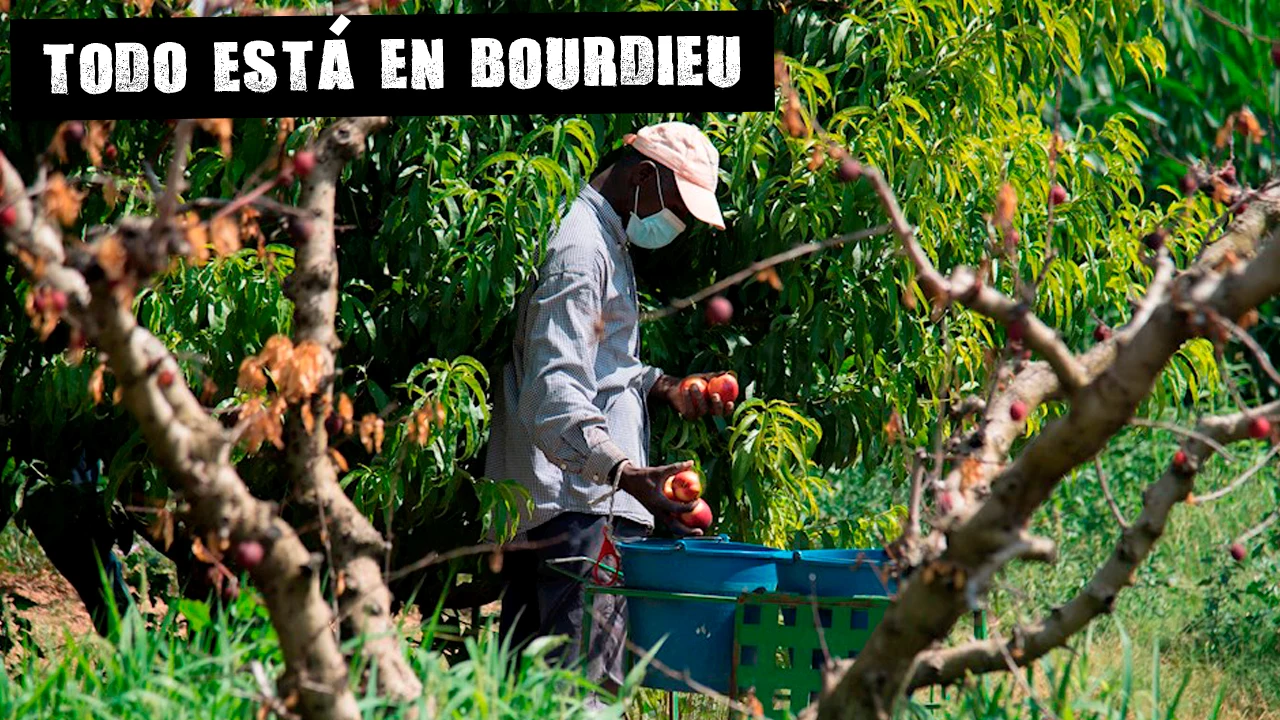 Un temporero con la mascarilla en Lleida