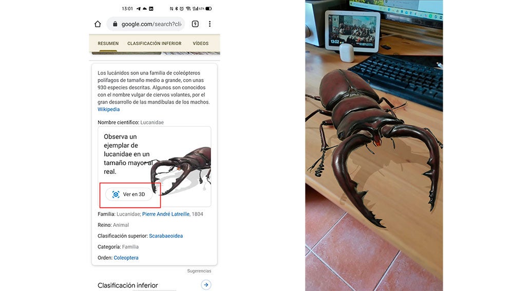 Accediendo desde el navegador