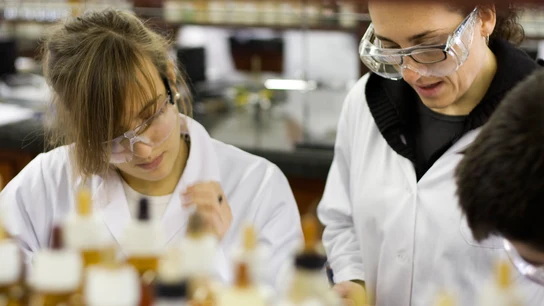 La resistencia a los antibióticos será la principal causa de muerte en 2050 La resistencia a los antibióticos será la principal causa de muerte en 2050