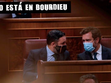 Santiago Abascal e Iván Espinosa de los Monteros en el Congreso