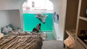 Room Walurus. Pairi Daiza Resort
