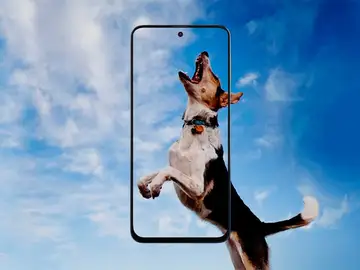 Samsung Galaxy M31s Samsung Galaxy M31s