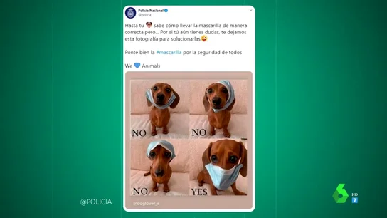 La tierna fotografía de un perro con la que la Policía Nacional te explica cómo ponerte bien la mascarilla La tierna fotografía de un perro con la que la Policía Nacional te explica cómo ponerte bien la mascarilla