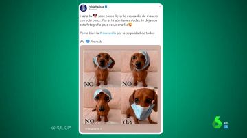 La tierna fotografía de un perro con la que la Policía Nacional te explica cómo ponerte bien la mascarilla