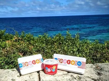 Gelats Paco, Palma Gelats Paco, Palma