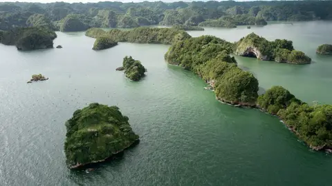 Isla de los Pájaros Isla de los Pájaros