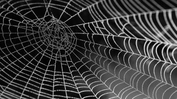 Telaraña