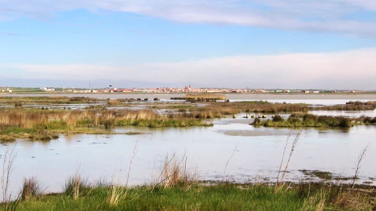 Reserva Natural 'Las Lagunas de Villafáfila', Zamora Reserva Natural 'Las Lagunas de Villafáfila', Zamora