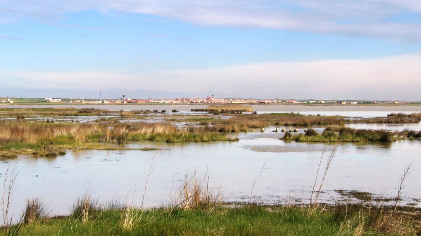 Reserva Natural 'Las Lagunas de Villafáfila', Zamora Reserva Natural 'Las Lagunas de Villafáfila', Zamora
