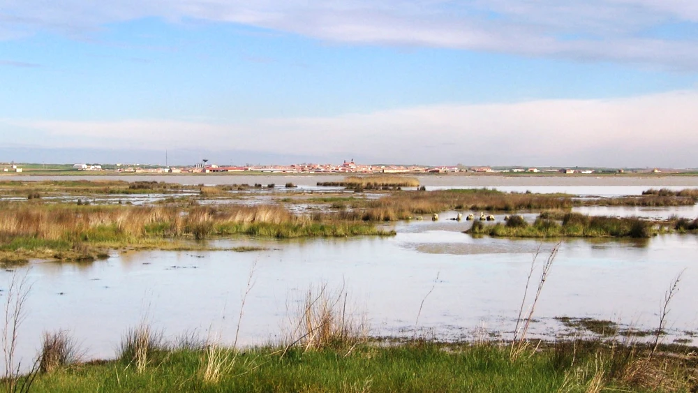 Reserva Natural 'Las Lagunas de Villafáfila', Zamora