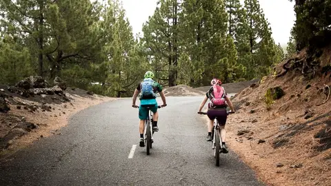 Bicis entre pinares, La Palma Bicis entre pinares, La Palma