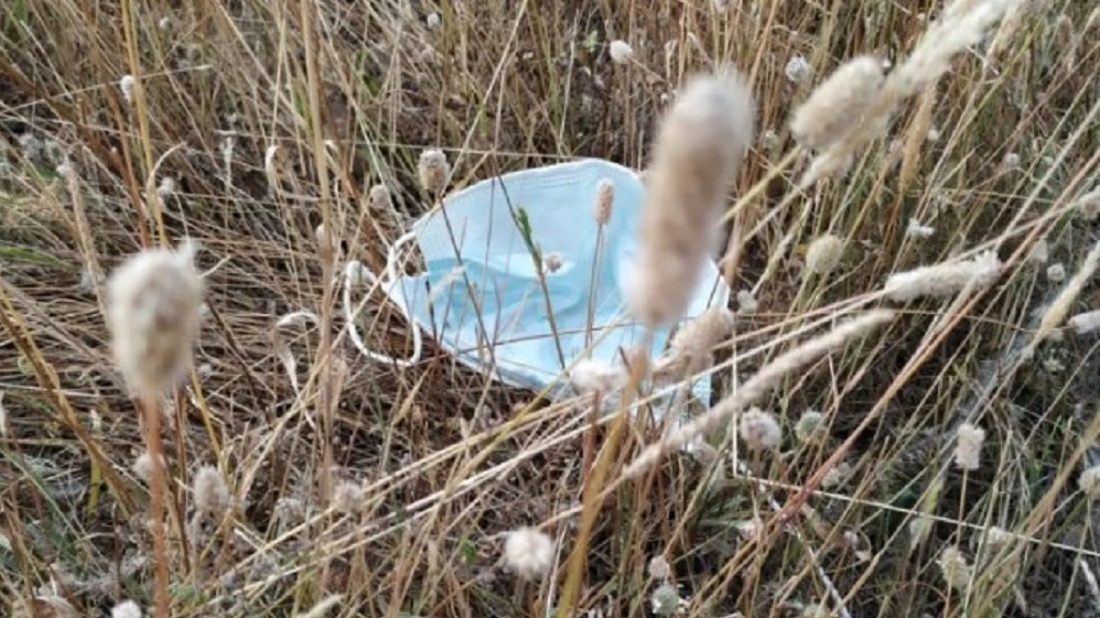 Imagen de una mascarilla arrojada en el campo