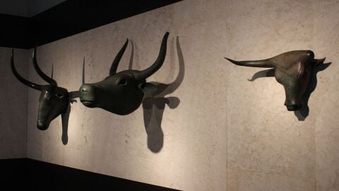 Toros de Costix