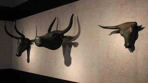 Toros de Costix Toros de Costix