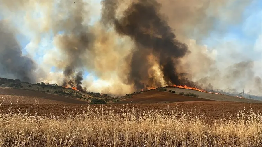 Incendio en Valdepiélagos