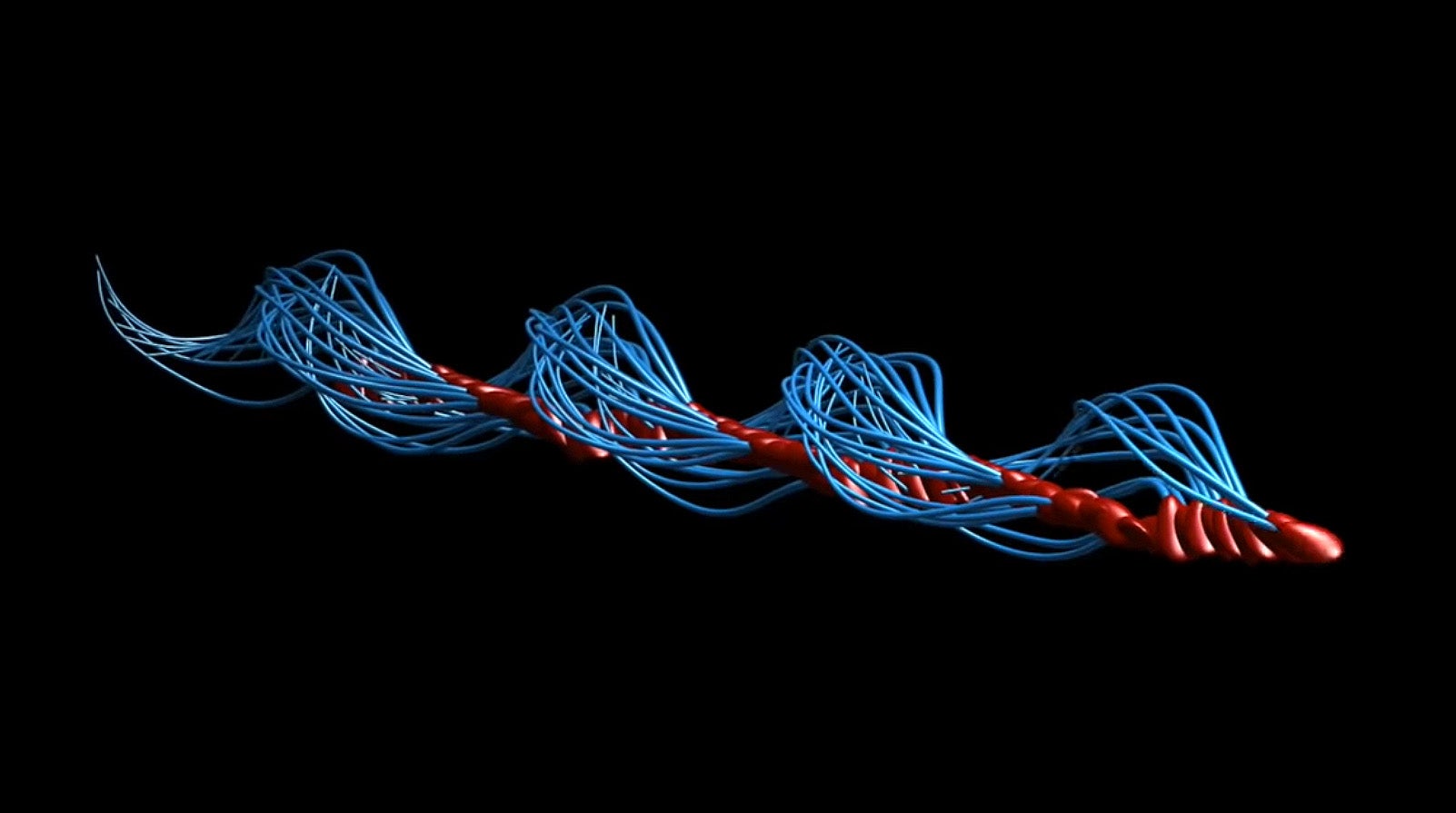 Movimiento de espermatozoides