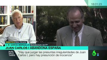 El eurodiputado Jose Manuel García-Margallo