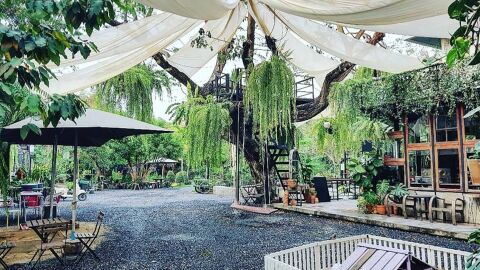 Bangkok con niños. Baan 1000 Mai Café & Farm