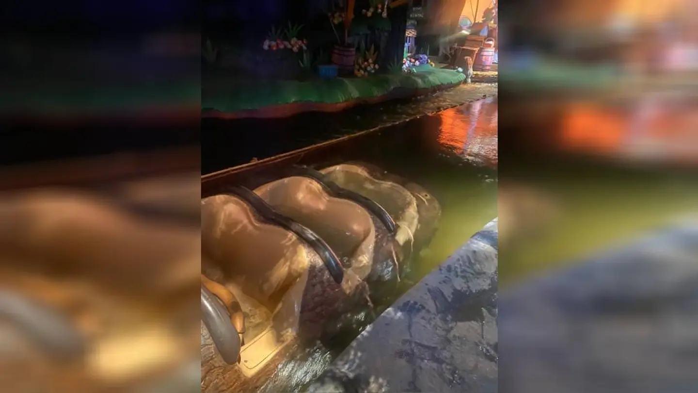 El angustioso accidente en una atracción de Disney World Orlando que pudo acabar en tragedia El angustioso accidente en una atracción de Disney World Orlando que pudo acabar en tragedia