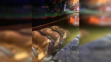El angustioso accidente en una atracción de Disney World Orlando que pudo acabar en tragedia