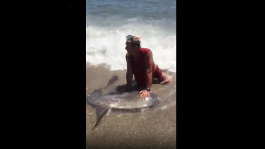 Captura del vídeo en el que puede verse como el hombre retiene al pez luna en la orilla. Captura del vídeo en el que puede verse como el hombre retiene al pez luna en la orilla.
