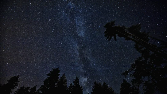 Cómo fotografiar la lluvia de estrellas de las Perseidas Cómo fotografiar la lluvia de estrellas de las Perseidas