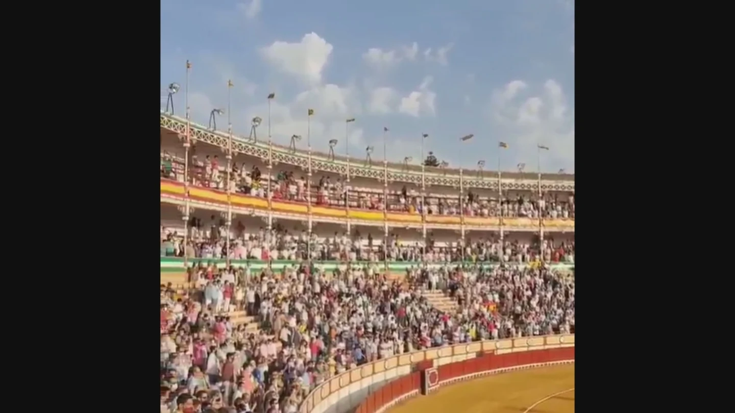 La Junta investigará las imágenes de aglomeraciones en la plaza de toros de El Puerto, Cádiz La Junta investigará las imágenes de aglomeraciones en la plaza de toros de El Puerto, Cádiz