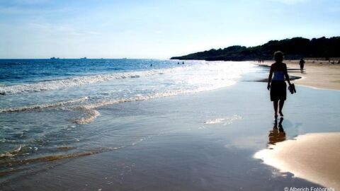 Playa Larga