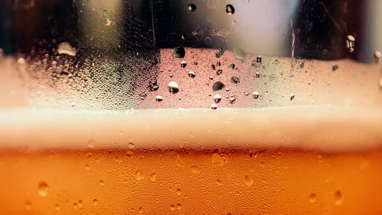 Día Internacional de la Cerveza: ¿birra gratis? Sí, pero solo en EEUU Día Internacional de la Cerveza