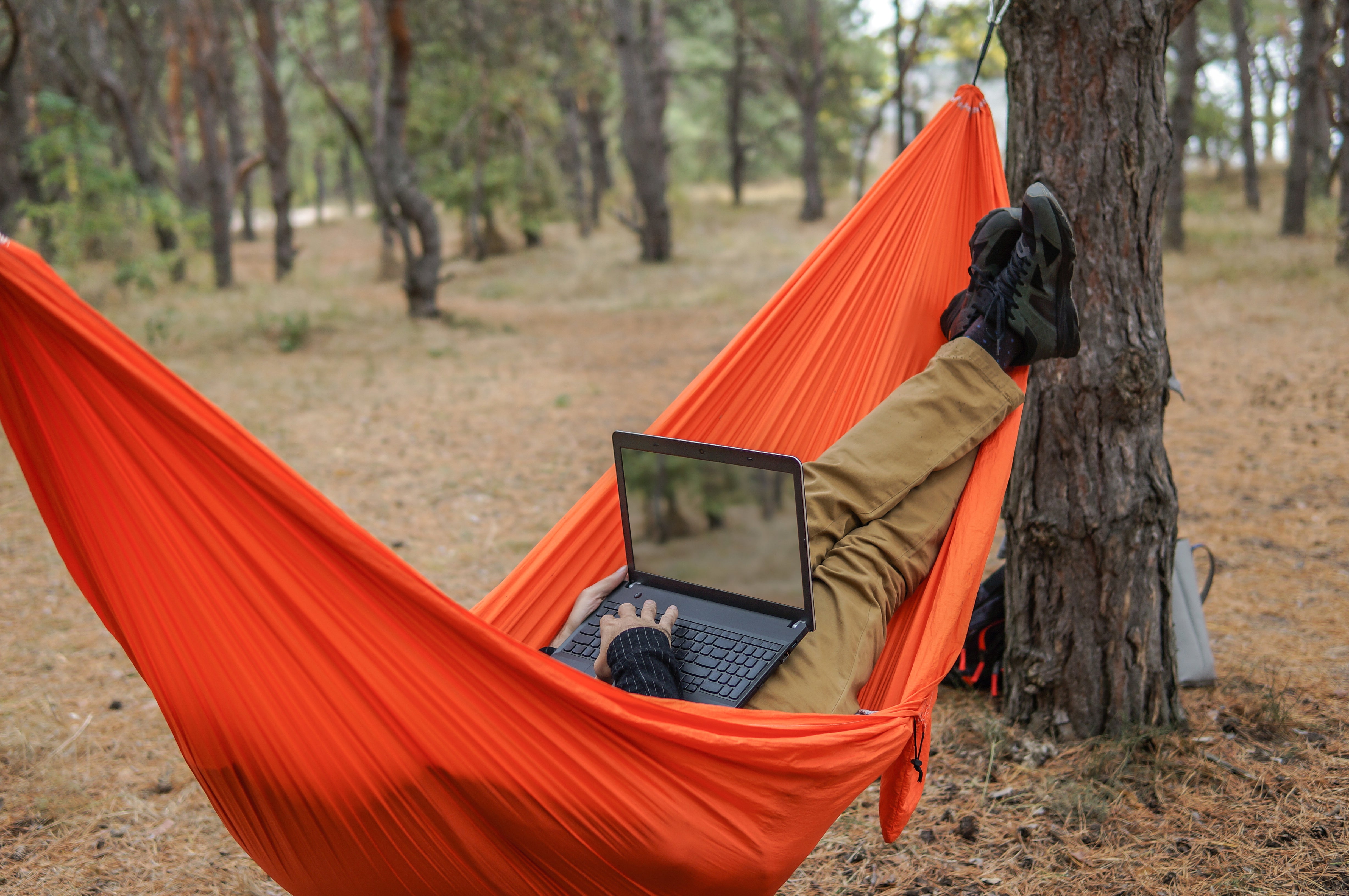 Teletrabajando en la naturaleza