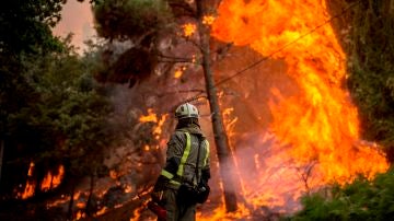 Un bombero realiza labores de extinción en el incendio forestal que permanece activo en el municipio orensano de Toén