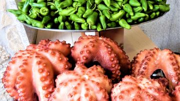 Turismo gastronómico en el norte de España: pulpo y pimientos de Padrón