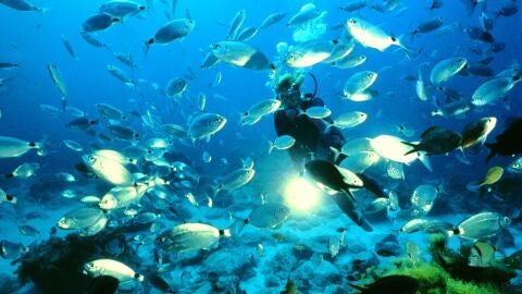 Buceo en Malta