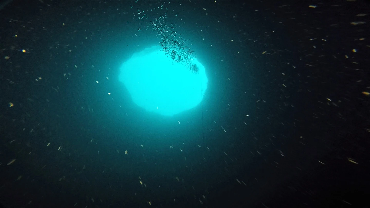 El misterio del 'agujero azul' del mar de Florida, a punto de ser desvelado El misterio del 'agujero azul' del mar de Florida, a punto de ser desvelado