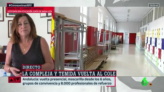 viceconsejera educacion María del Carmen Castillo, viceconsejera de educación de la Junta de Andalucía viceconsejera educacion