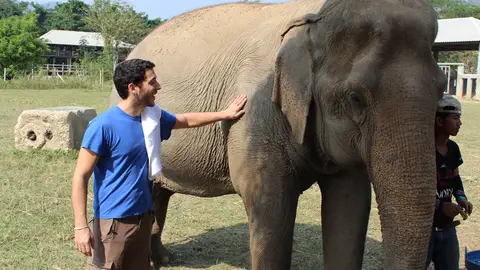 Elefante Elefante