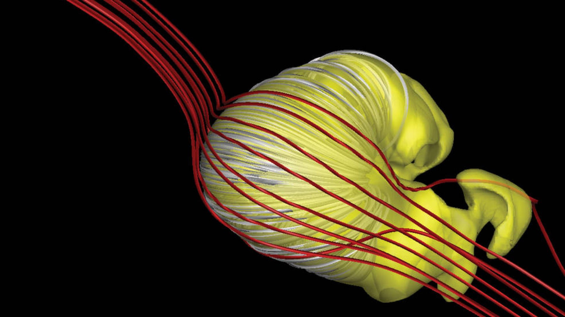 Modelo en 3D de la heliosfera