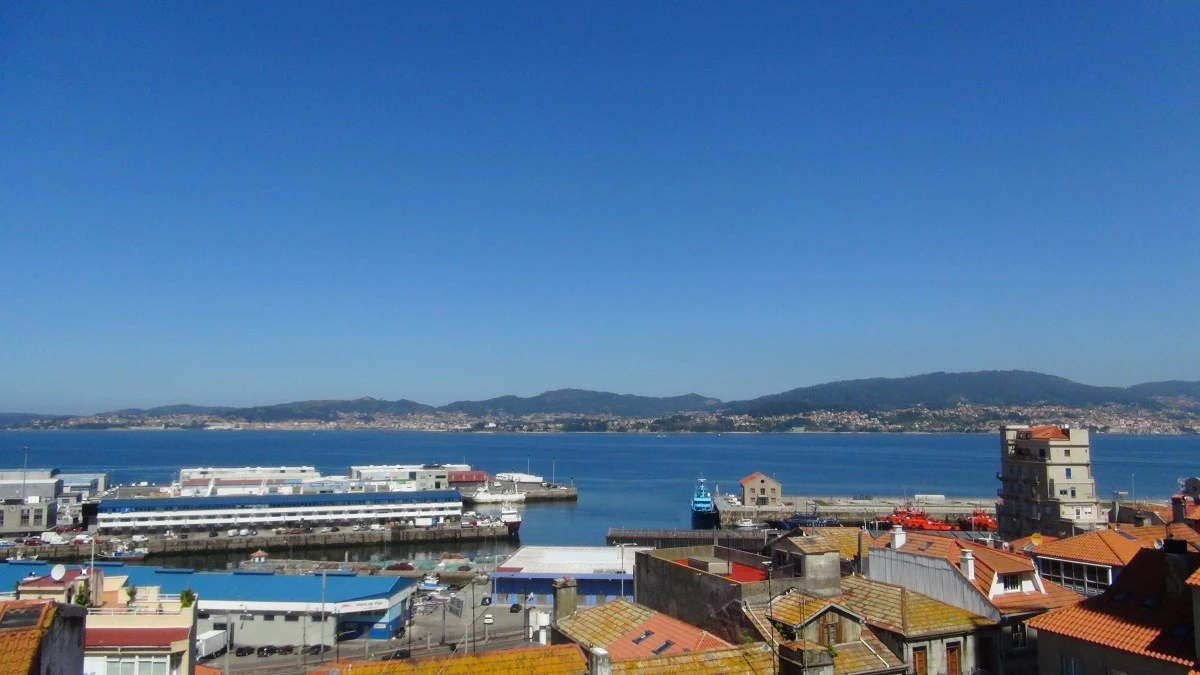 Vigo Vigo