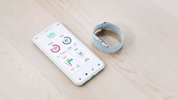 Pulsera Halo