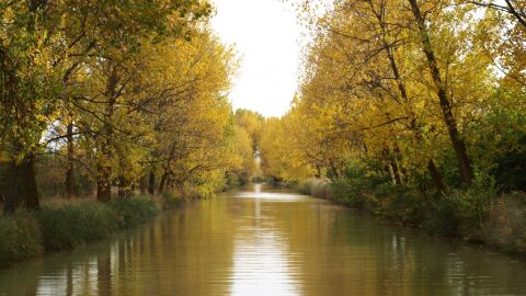 Canal de Castilla